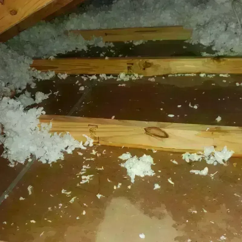 Attic Water Damage in Walker County, TX