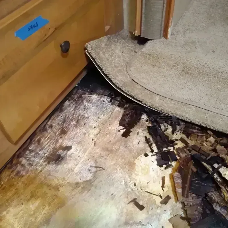 Wood Floor Water Damage in Walker County, TX